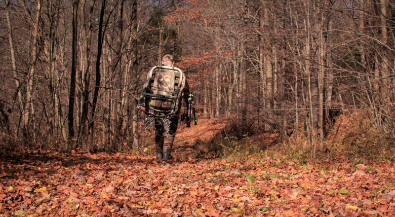 Ethical Hunting: Reasons for Hunting Animals